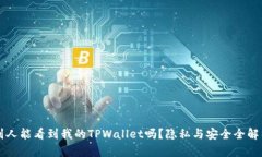 别人能看到我的TPWallet吗？隐私与安全全解析