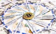 国内最安全的虚拟币钱包选择指南