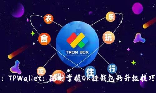 : TPWallet: 随时掌握OK链钱包的升级技巧