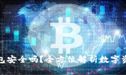 存比特币钱包安全吗？全方位解析数字资产的安全性