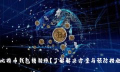 比特币钱包转错账？了解解决方案与预防措施