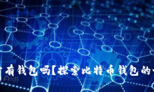 比特币官方有钱包吗？探索比特币钱包的世界与选择