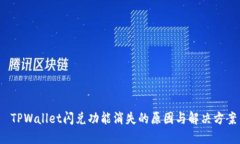  TPWallet闪兑功能消失的原因与解决方案