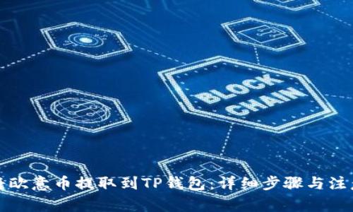 如何将欧意币提取到TP钱包：详细步骤与注意事项