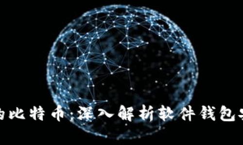 如何挽回丢失的比特币：深入解析软件钱包安全及恢复策略