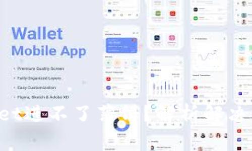  最新版TPWallet进不了薄饼？解析解决方案与操作指南