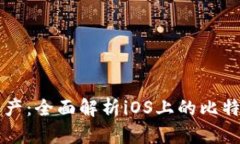 解锁数字资产：全面解析iOS上的比特币钱包应用