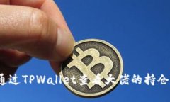 如何通过TPWallet查看大佬的持仓信息？
