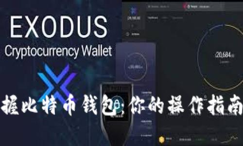 全面掌握比特币钱包：你的操作指南与简介