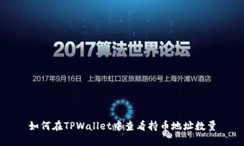 如何在TPWallet中查看持币地址数量