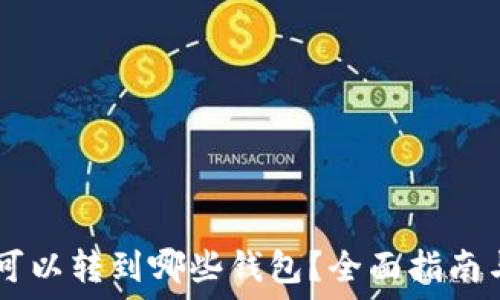   
USDT可以转到哪些钱包？全面指南与建议