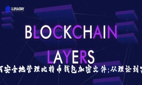 如何安全地管理比特币钱包加密文件：从理论到实践