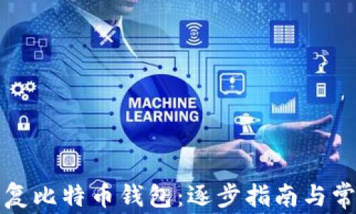 
如何轻松恢复比特币钱包：逐步指南与常见问题解答