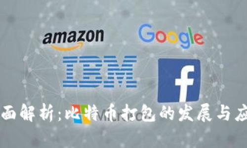 全面解析：比特币打包的发展与应用