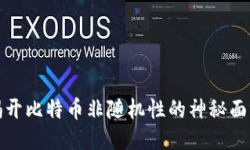 揭开比特币非随机性的神秘面纱