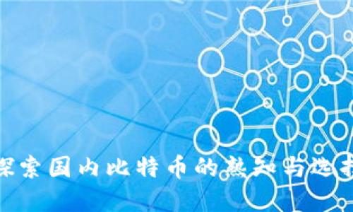 探索国内比特币的熟知与选择