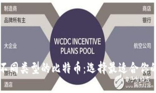 深入了解不同类型的比特币：选择最适合你的存储方式